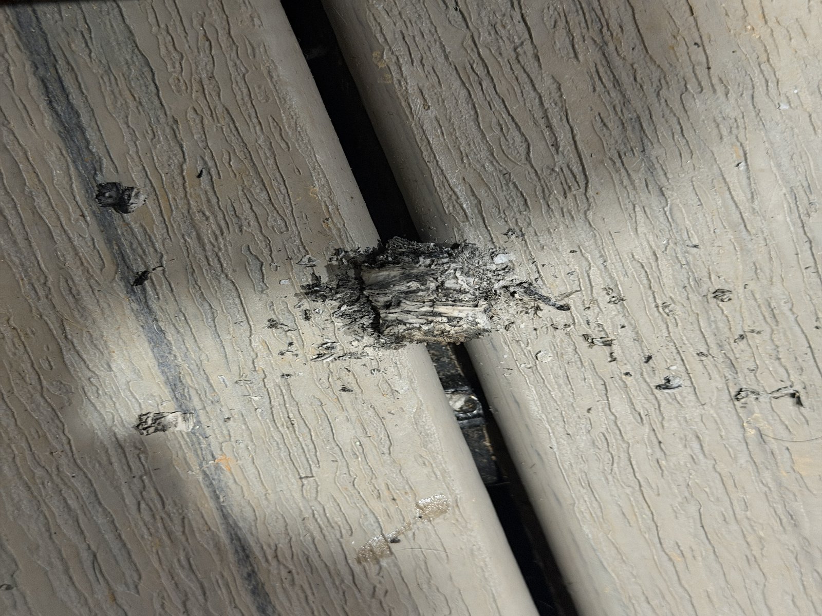 A large piece of grey cigar ash resting in one piece across the gap between two painted deck boards