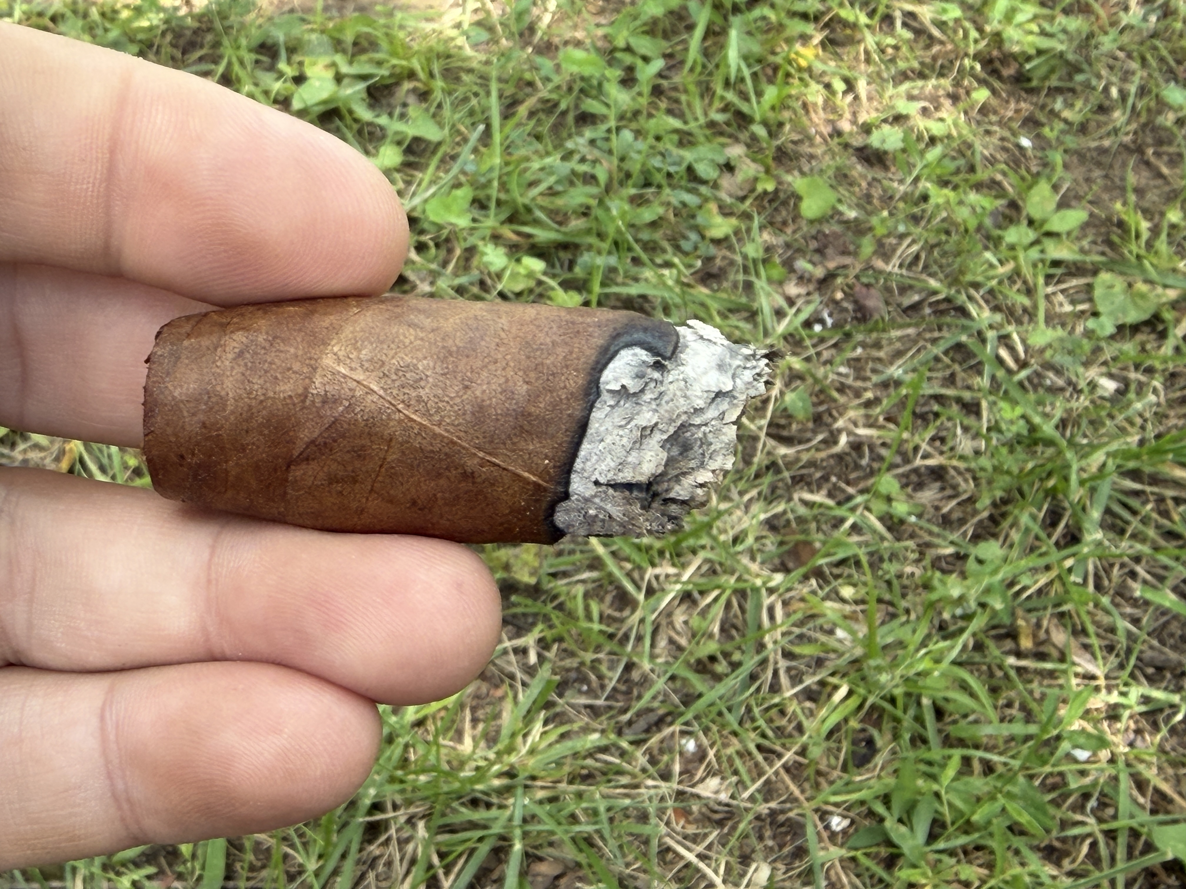 Nub of the Melanio Figurado held between fingers with the bands off and a small gray ash on the foot