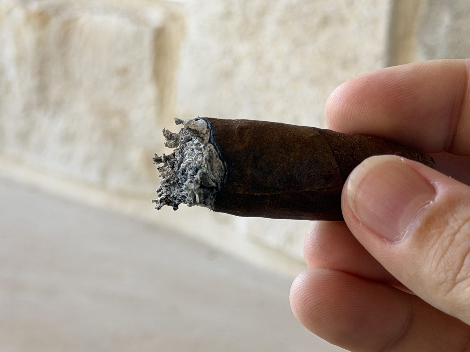 Padrón 1926 Serie 80 Years Maduro nub with about a half inch left, bands off, just before being set down